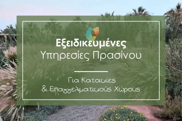 Εξειδικευμένες Υπηρεσίες Πρασίνου για Κατοικίες και Επαγγελματικούς Χώρους